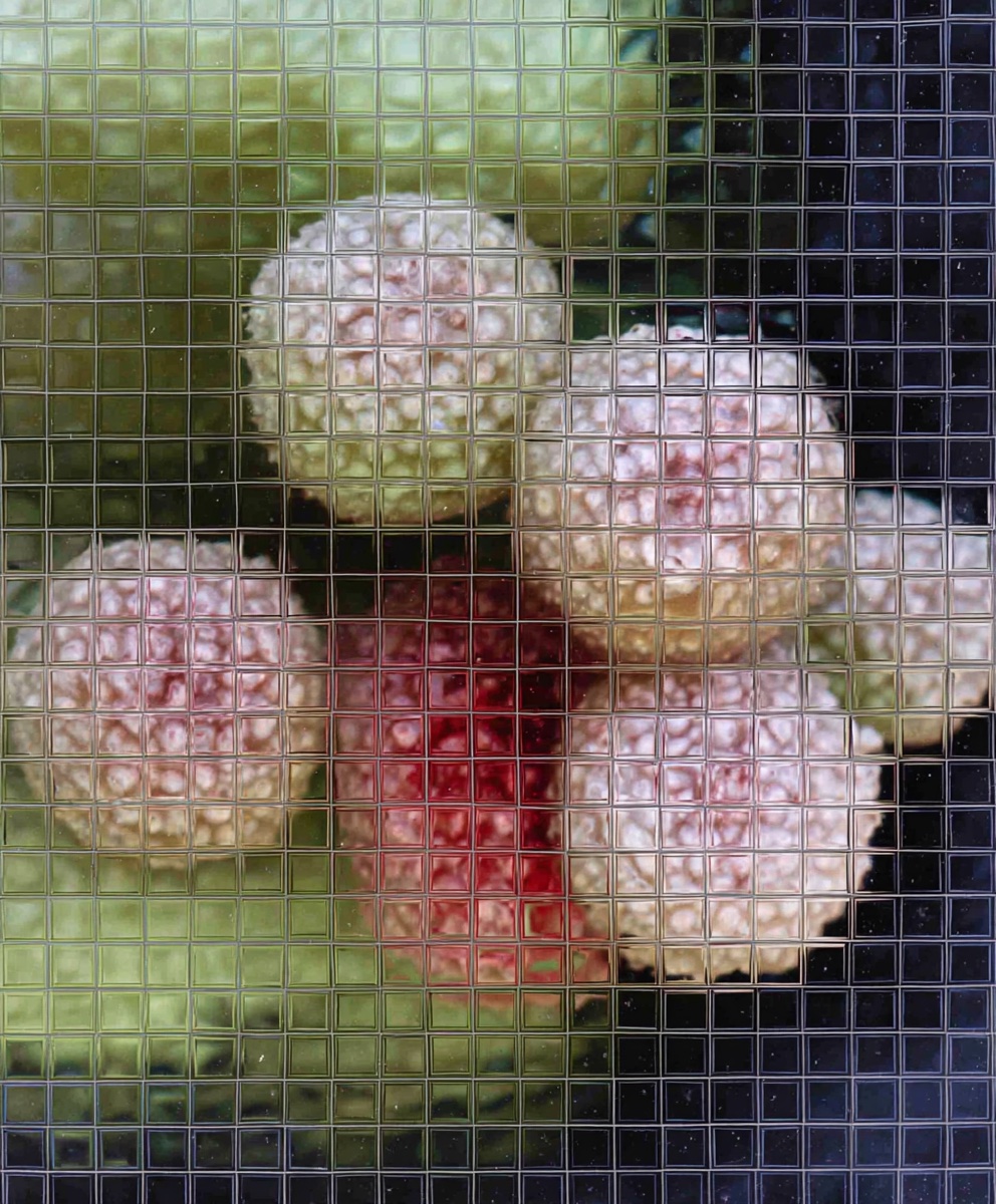 intake — bio-mimicry behind wired glass