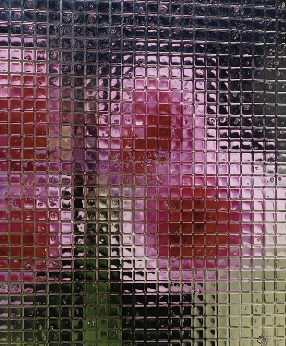 outreach — bio-mimicry behind wired glass