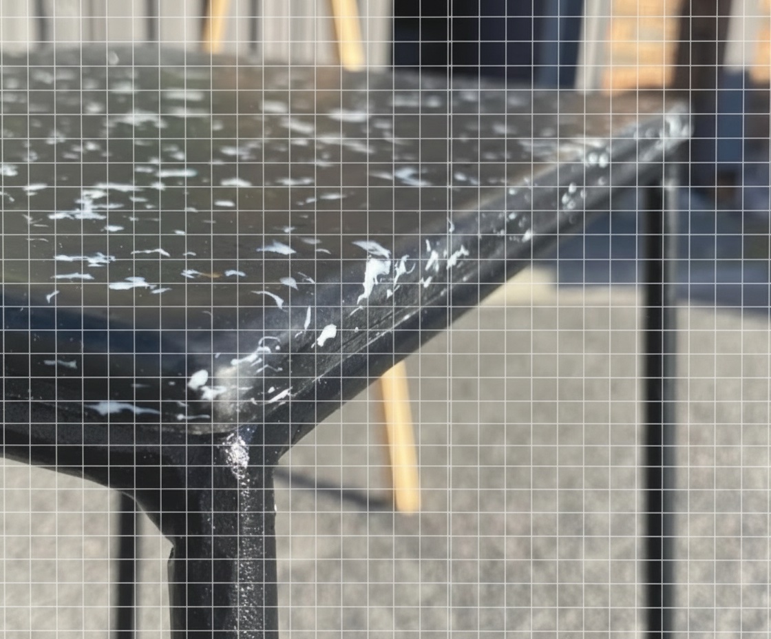 Plastic Pioneers — viewed through wired safety glass